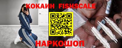 стаф Будённовск