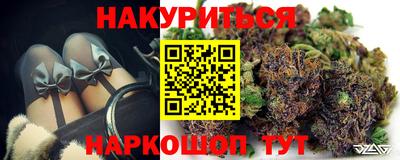 стаф Будённовск