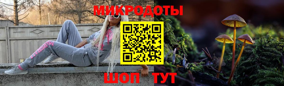 Галлюциногенные грибы Cubensis Сафоново