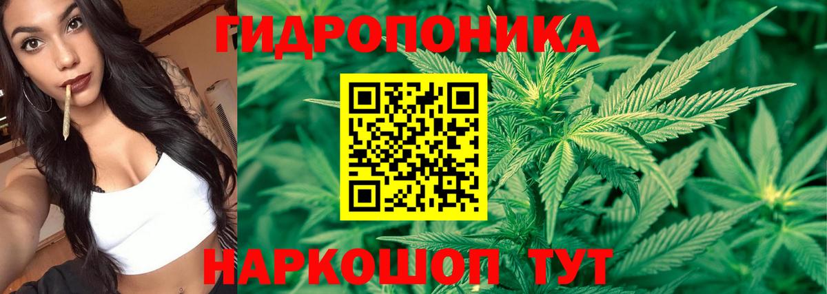 Шишки марихуана ГИДРОПОН  Вход с VPN  Сафоново  МАРИХУАНА конопля 